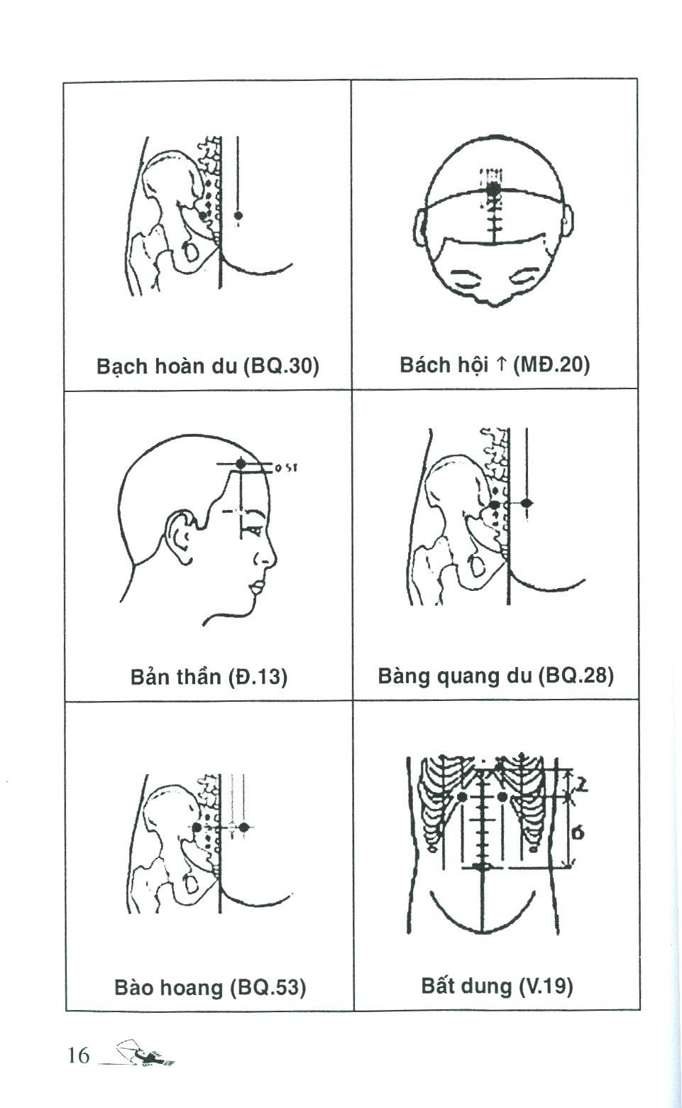 Sổ Tay Tìm Huyệt 2019