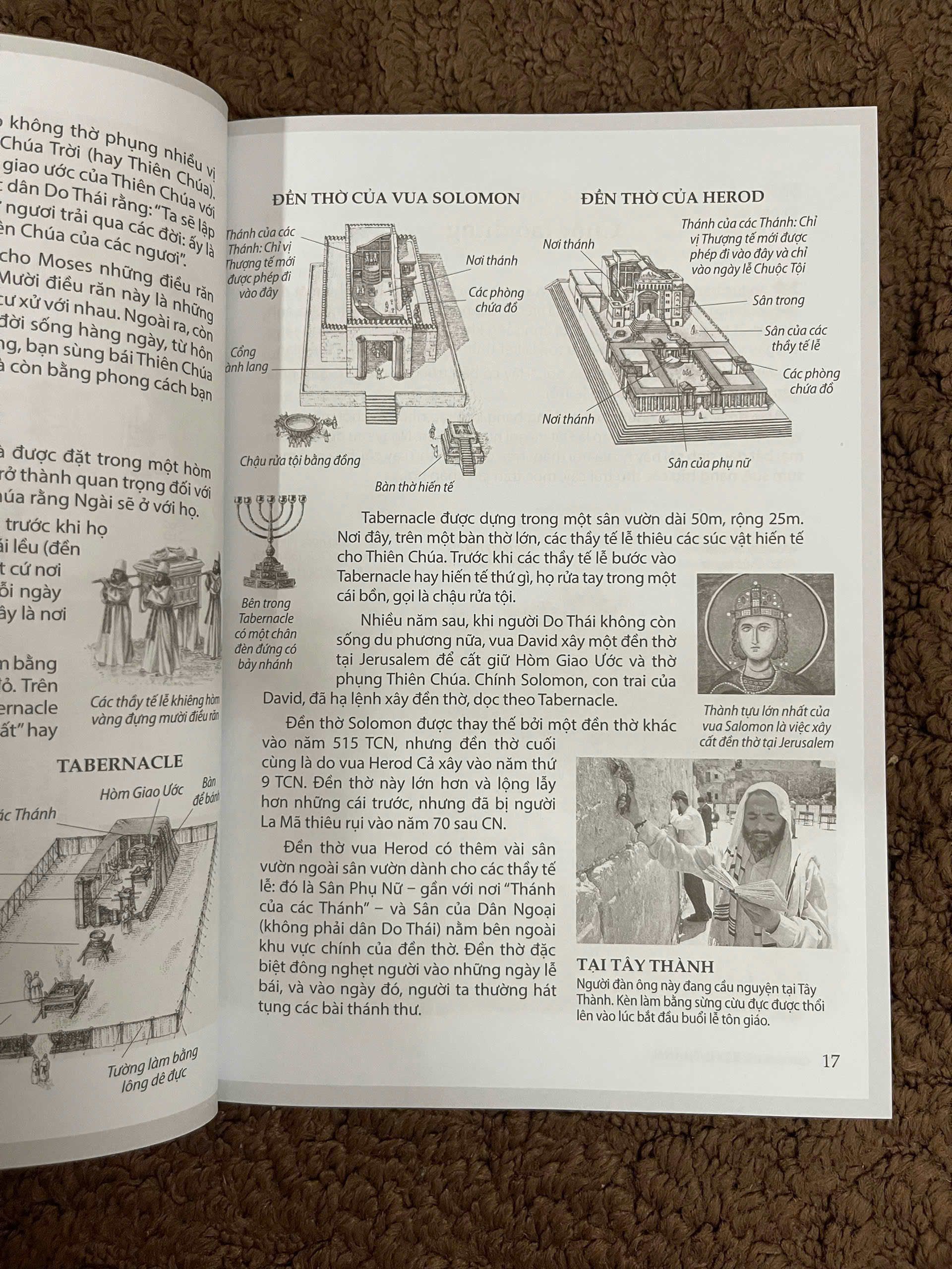 Câu Chuyện Kinh Thánh