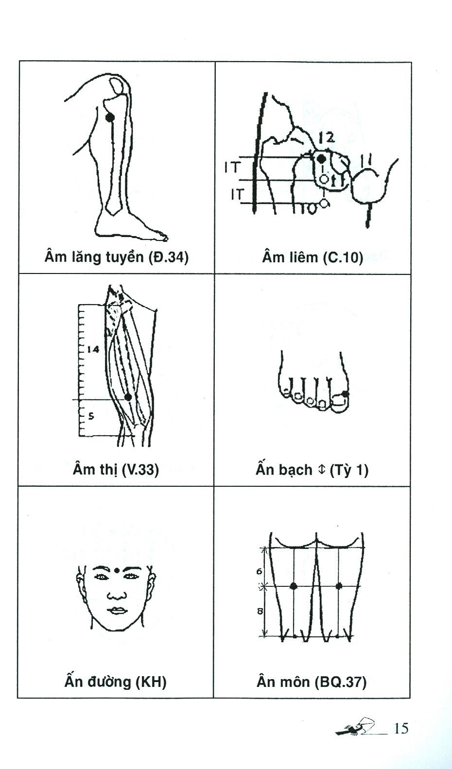 Sổ Tay Tìm Huyệt 2019