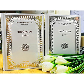 Sách - Trường Bộ Kinh (Trích nguyên tác trong bộ 37 cuốn - Đại Tạng Kinh Việt Nam, bìa cứng)