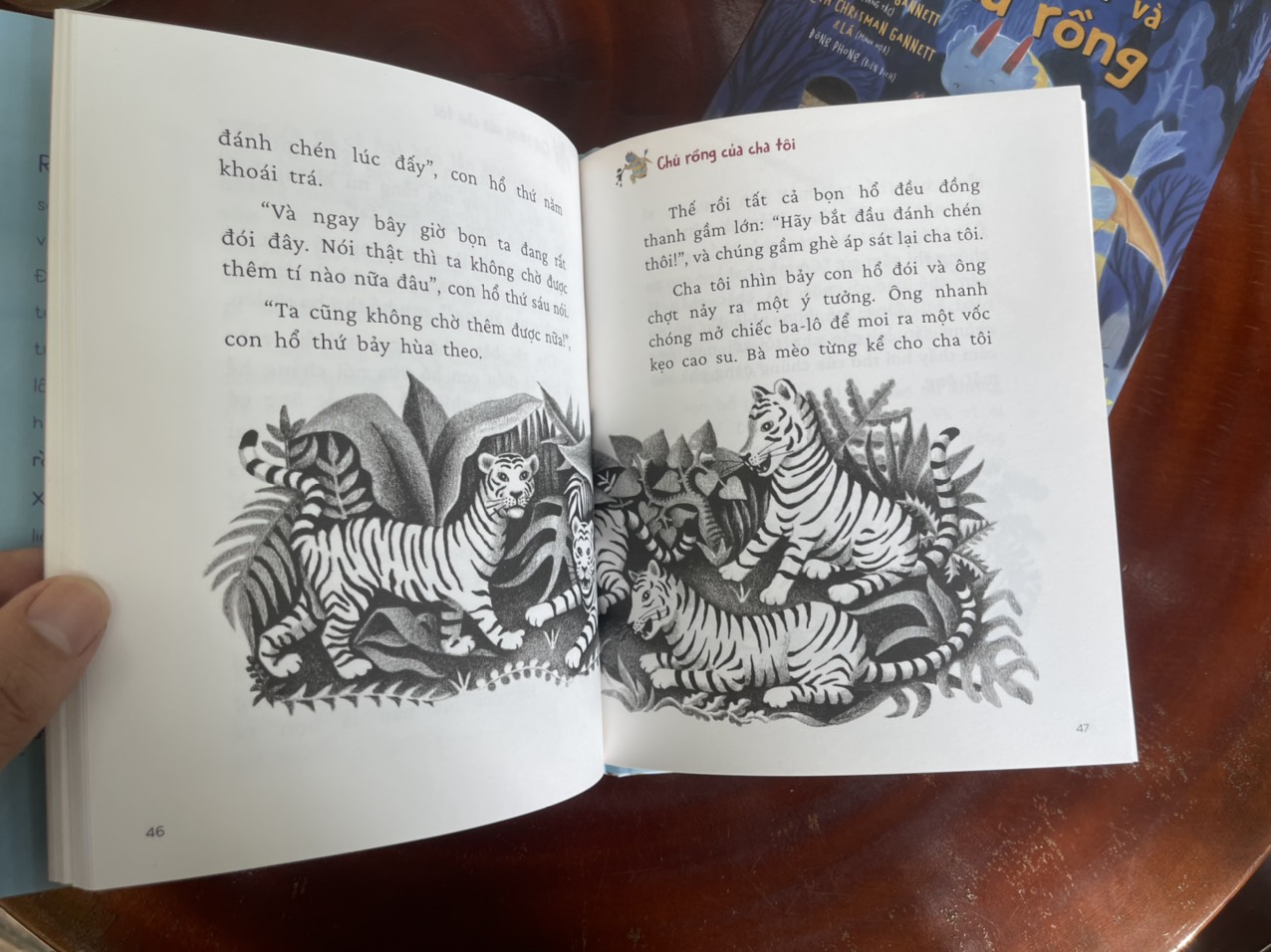 (Combo 2 cuốn) (Bìa cứng có áo) CHÚ RỒNG CỦA CHA TÔI và ELMER VÀ CHÚ RỒNG - Ruth Stiles Gannett – minh họa bởi Ruth Chrisman Gannett & Lá - Crabit Kidbooks