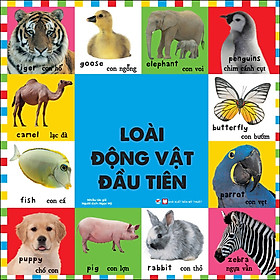 Loài Động Vật Đầu Tiên - Bộ Sách Từ Vựng Đầu Đời Cho Bé