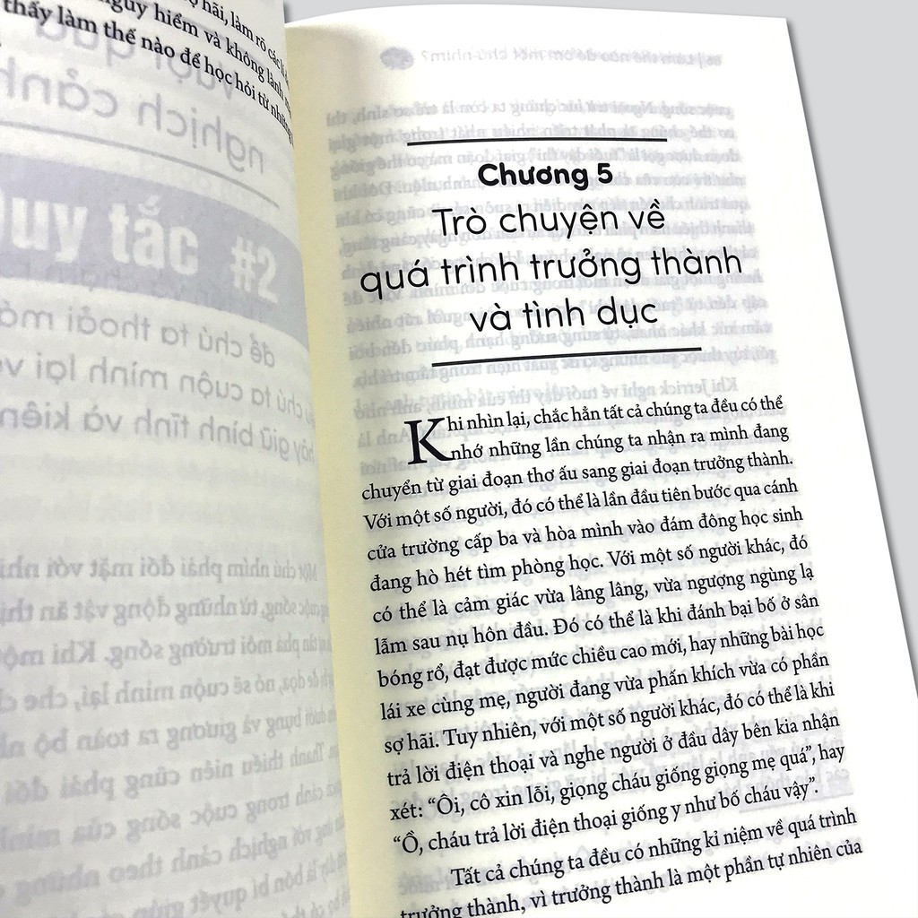 Sách- Làm Thế Nào Để Ôm Một Chú Nhím ? - Phương Pháp Kết Nối Với Trẻ Vị Thành Niên (ML)