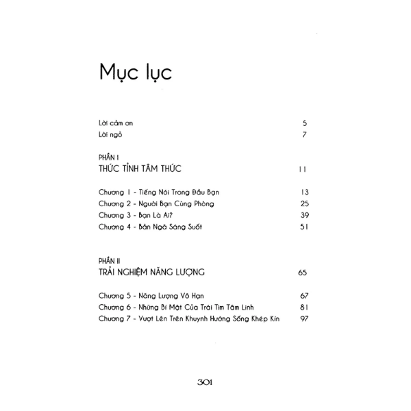 Sách Cởi trói linh hồn - Michael A Singer