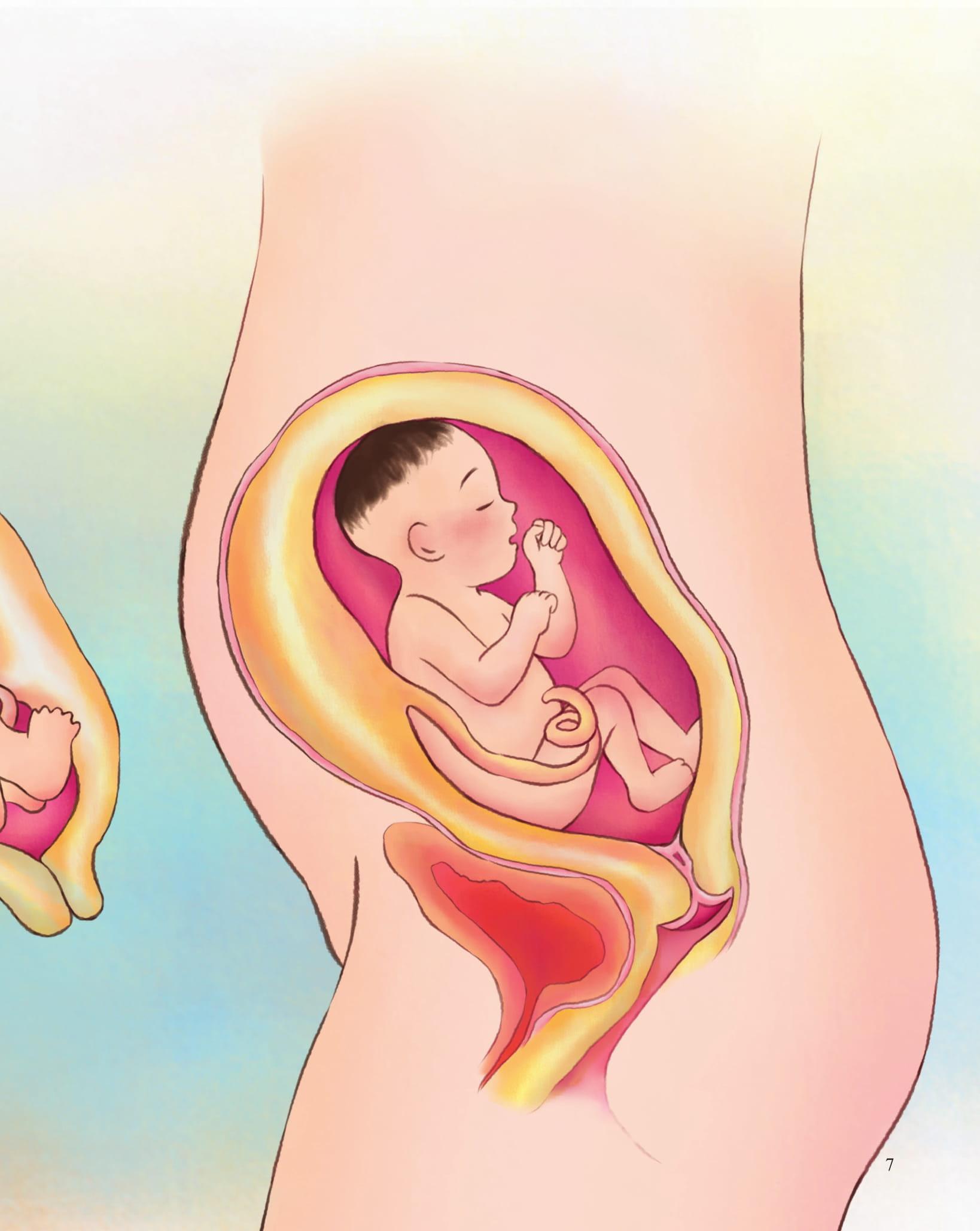 Giáo Dục Giới Tính Và Nhân Cách Dành Cho Bé Gái - Tớ Biết Quý Trọng Cơ Thể Mình (Dạy Trẻ Cách Nhận Biết Và Bảo Vệ Các Bộ Phận Cơ Thể)