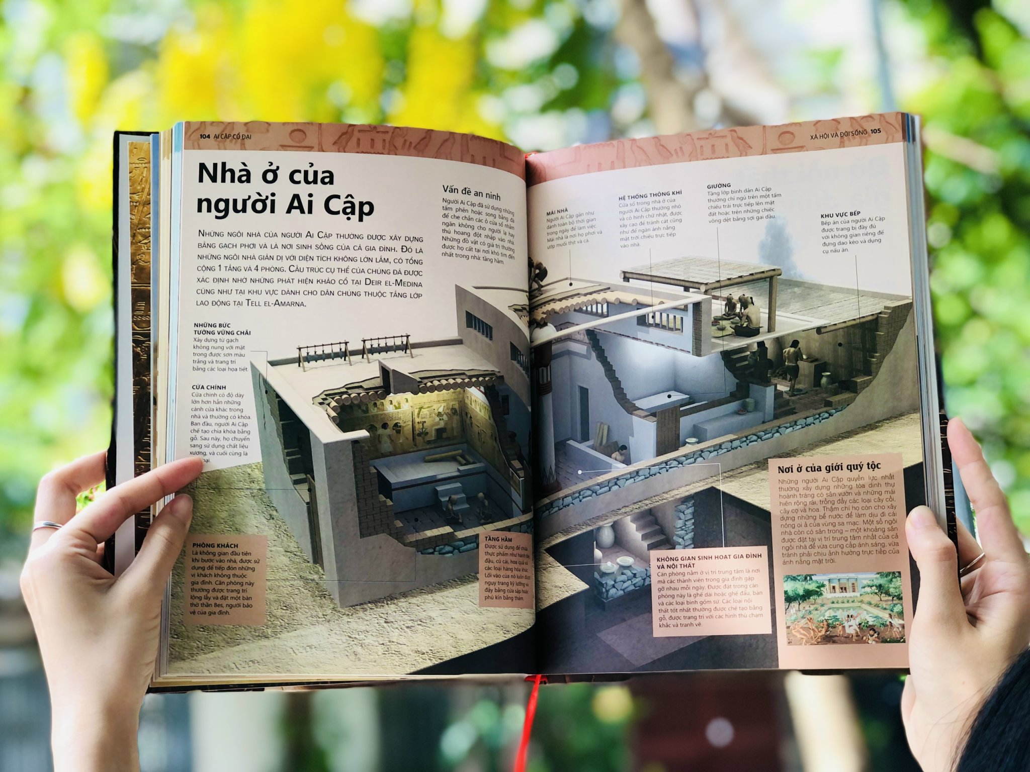 Combo sách Ai cập cổ đại và sách Bí ẩn của lịch sử ( bộ 2 cuốn ) - Tổng hợp kiến thức bách khoa về địa lý và lịch sử - Á Châu Books, Bìa cứng in màu