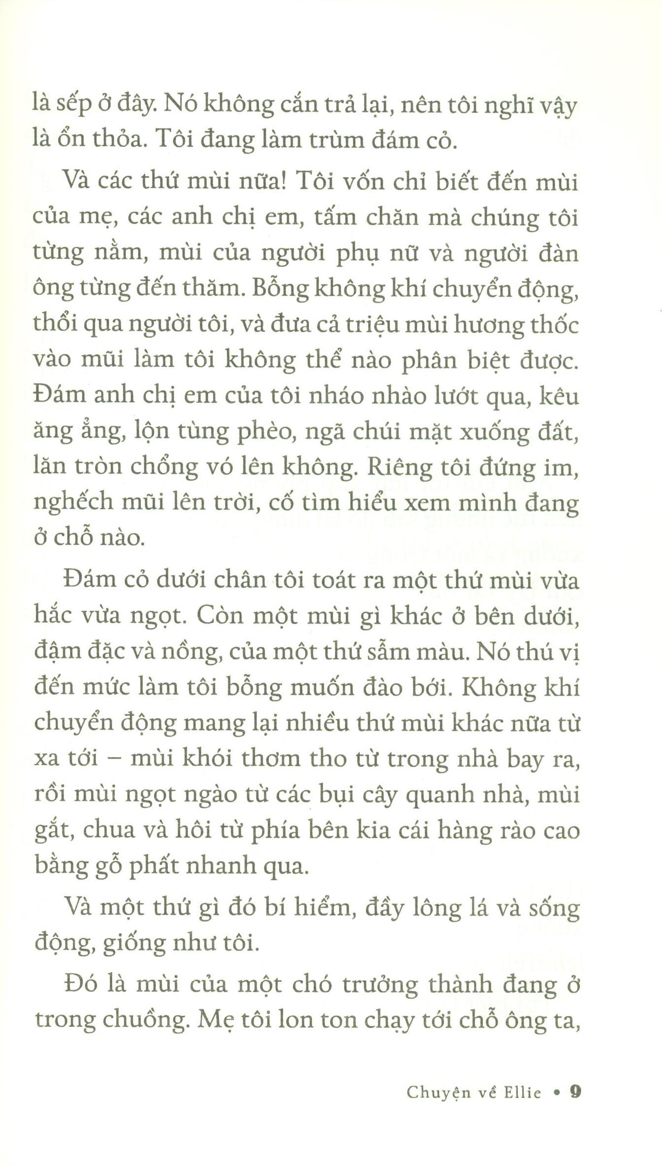 Chuyện Về Ellie - Chú Chó Trong Tiểu Thuyết Mục Đích Sống Của Một Chú Chó