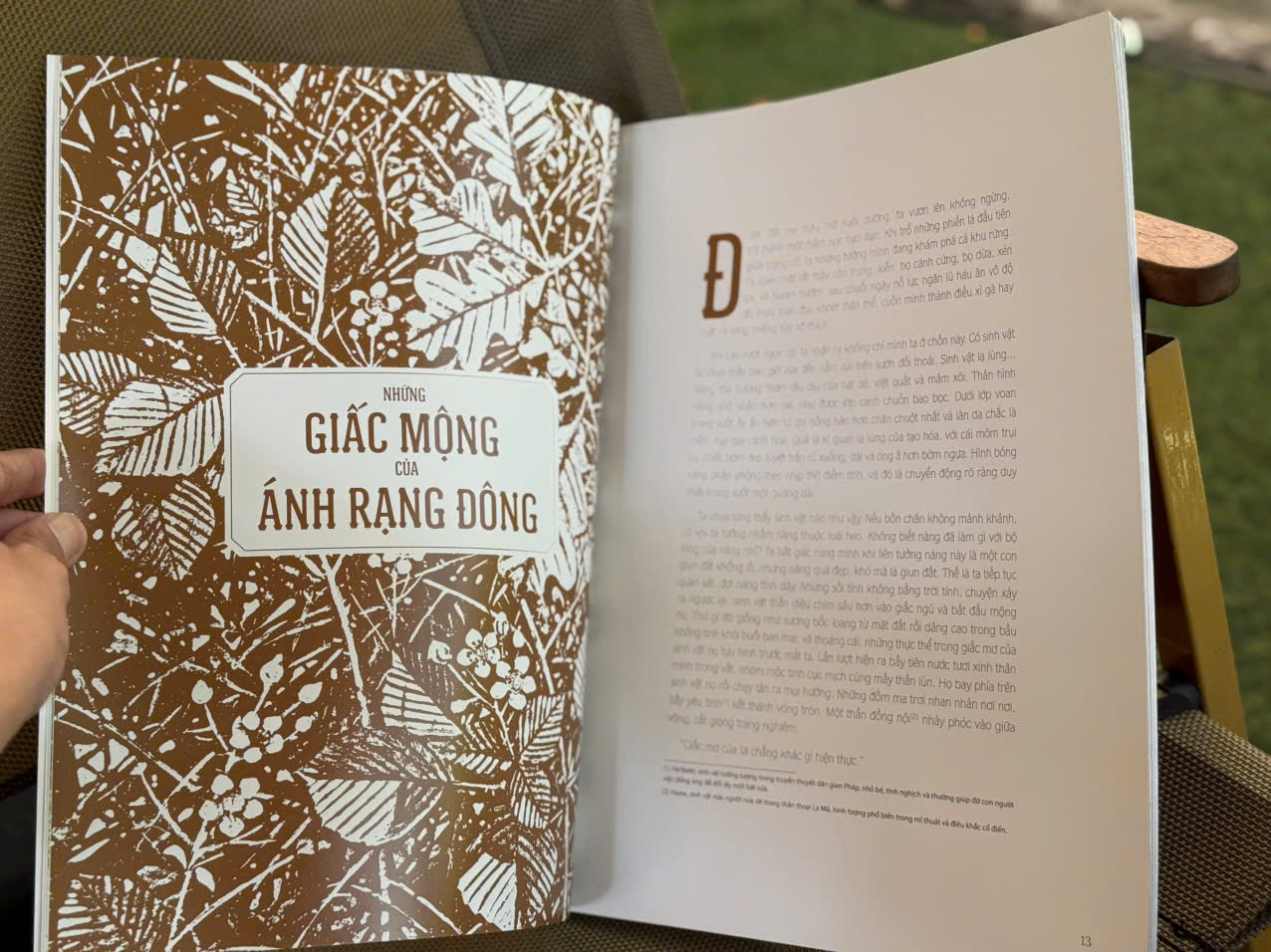 (In màu) CỔ TÍCH DƯỚI BÓNG SỒI NGÀN TUỔI - M. Rovere, F. Pillot - Nguyễn Thảo Nhi dịch - NXB Kim Đồng