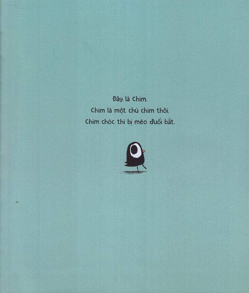 Mèo Max Và Chim