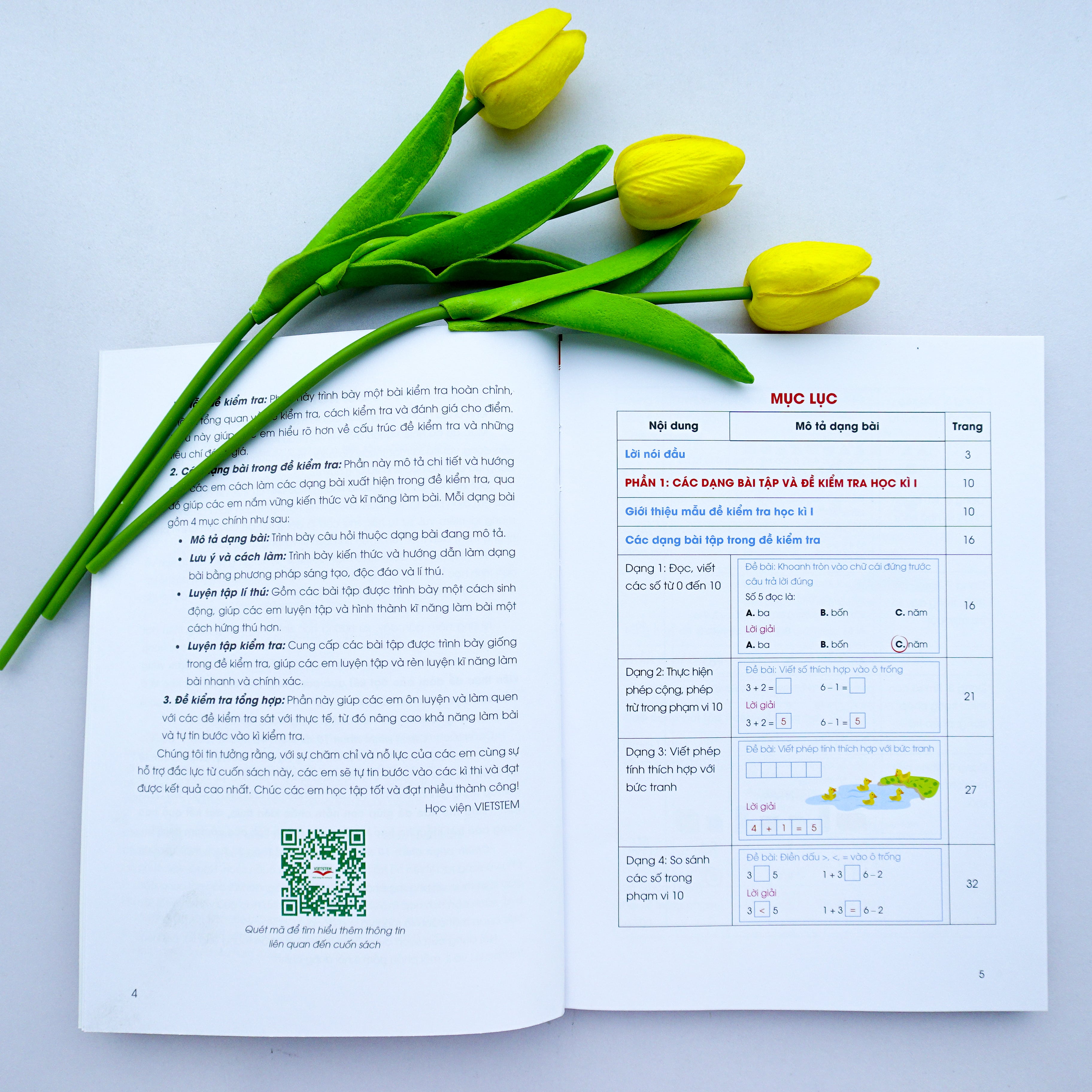 Chinh phục điểm 10 đề kiểm tra học kì Toán 1 (CD)