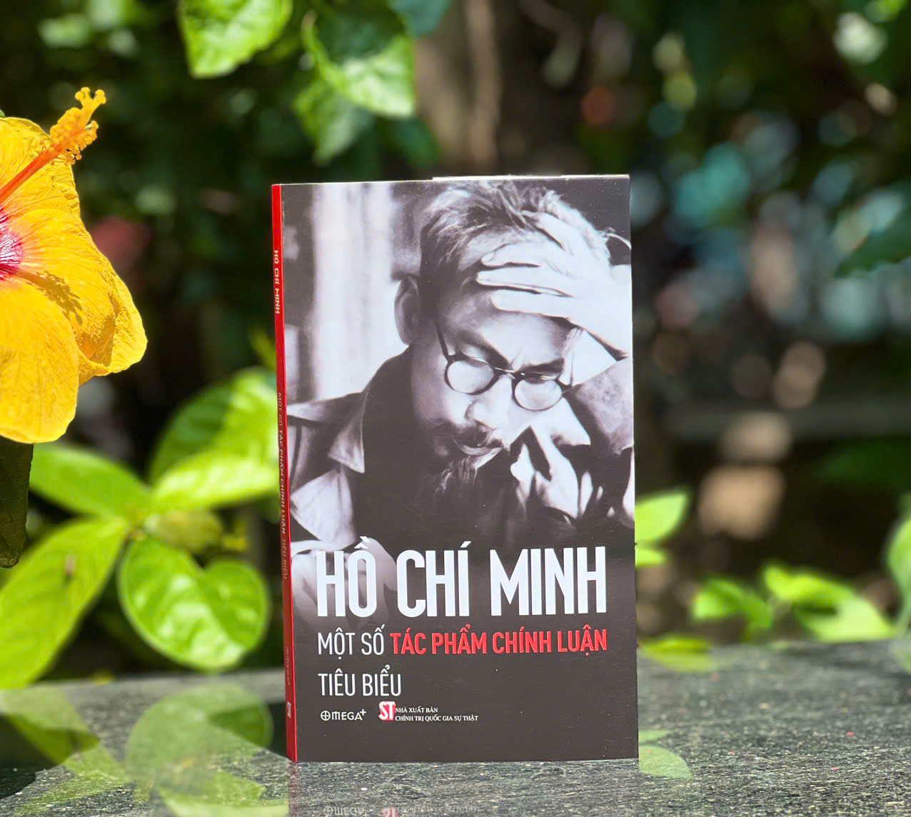 Combo Bông Sen Vàng - Thời Niên Thiếu Của Chủ Tịch Hồ Chí Minh Dưới Ngòi Bút Nhà Văn Sơn Tùng + Hồ Chí Minh - Những Tác Phẩm Chính Luận Tiêu Biểu