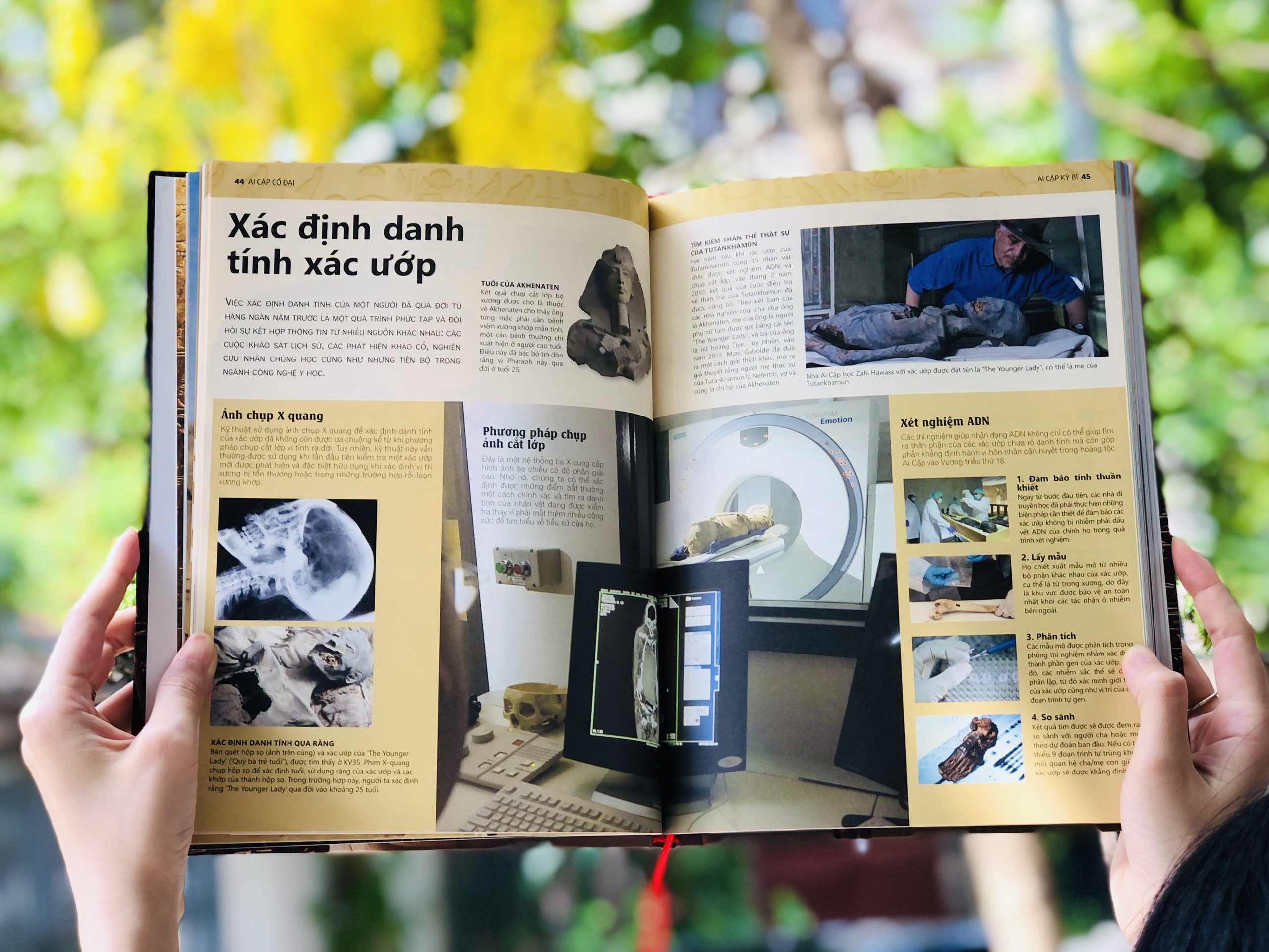Combo sách Ai cập cổ đại và sách Bí ẩn của lịch sử ( bộ 2 cuốn ) - Tổng hợp kiến thức bách khoa về địa lý và lịch sử - Á Châu Books, Bìa cứng in màu