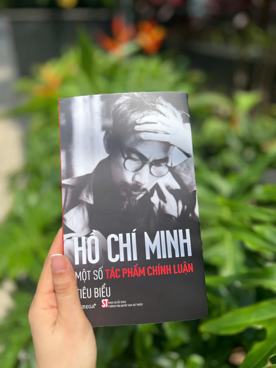 Combo Bông Sen Vàng - Thời Niên Thiếu Của Chủ Tịch Hồ Chí Minh Dưới Ngòi Bút Nhà Văn Sơn Tùng + Hồ Chí Minh - Những Tác Phẩm Chính Luận Tiêu Biểu