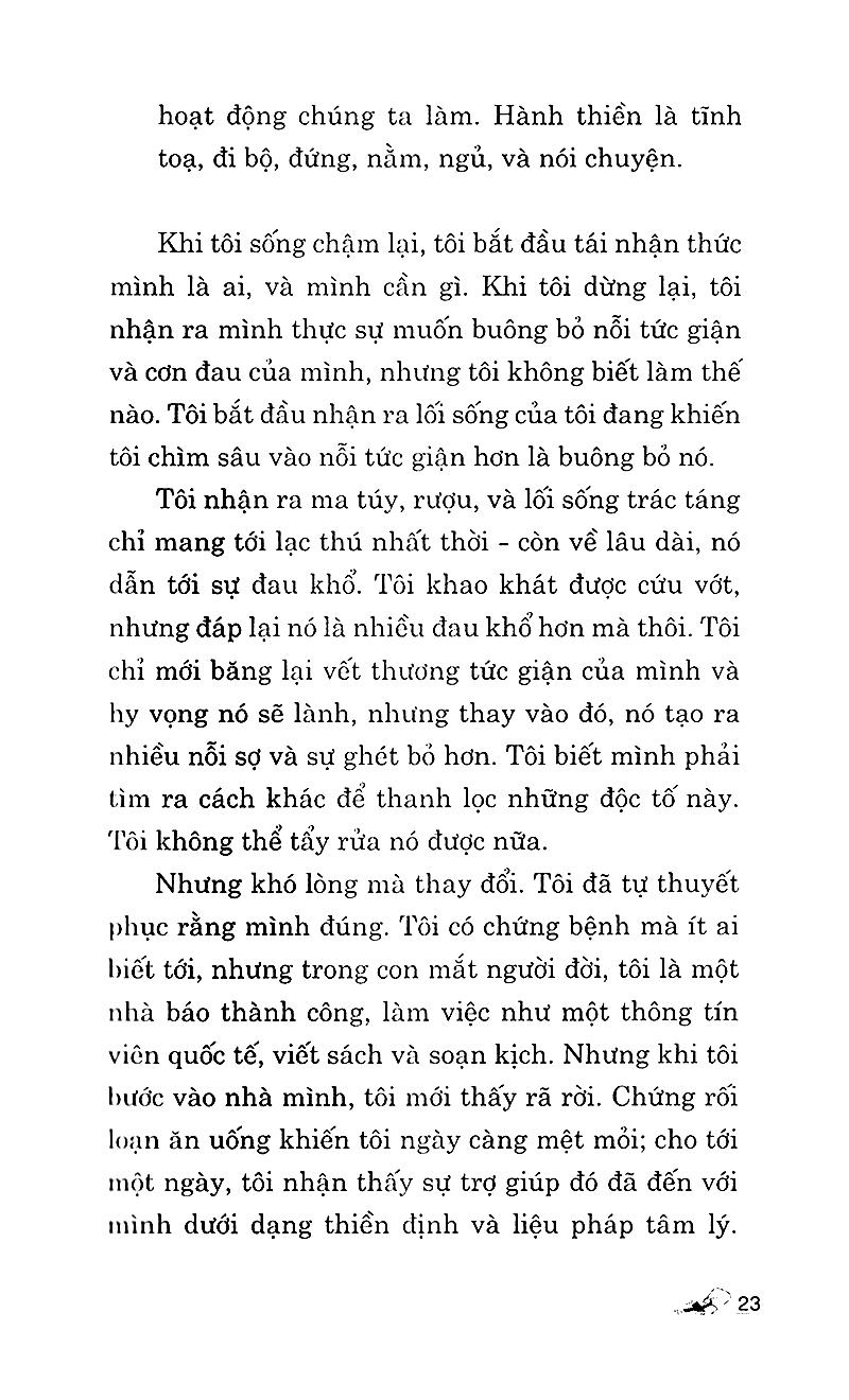 Giải Thoát Thân Tâm - Thiền Định Thanh Lọc Tâm Trí