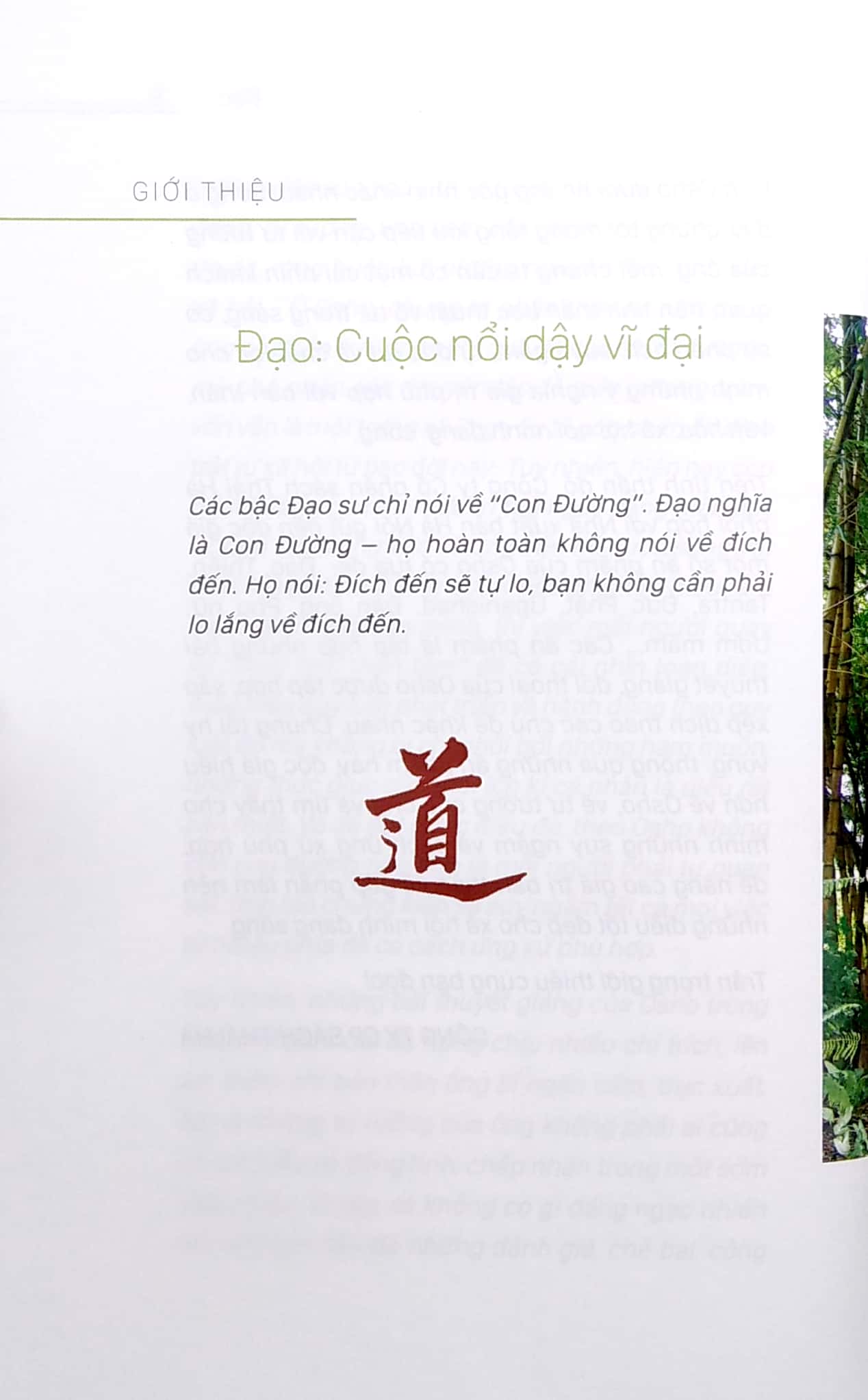 Đạo - Osho (Tái Bản 2022)