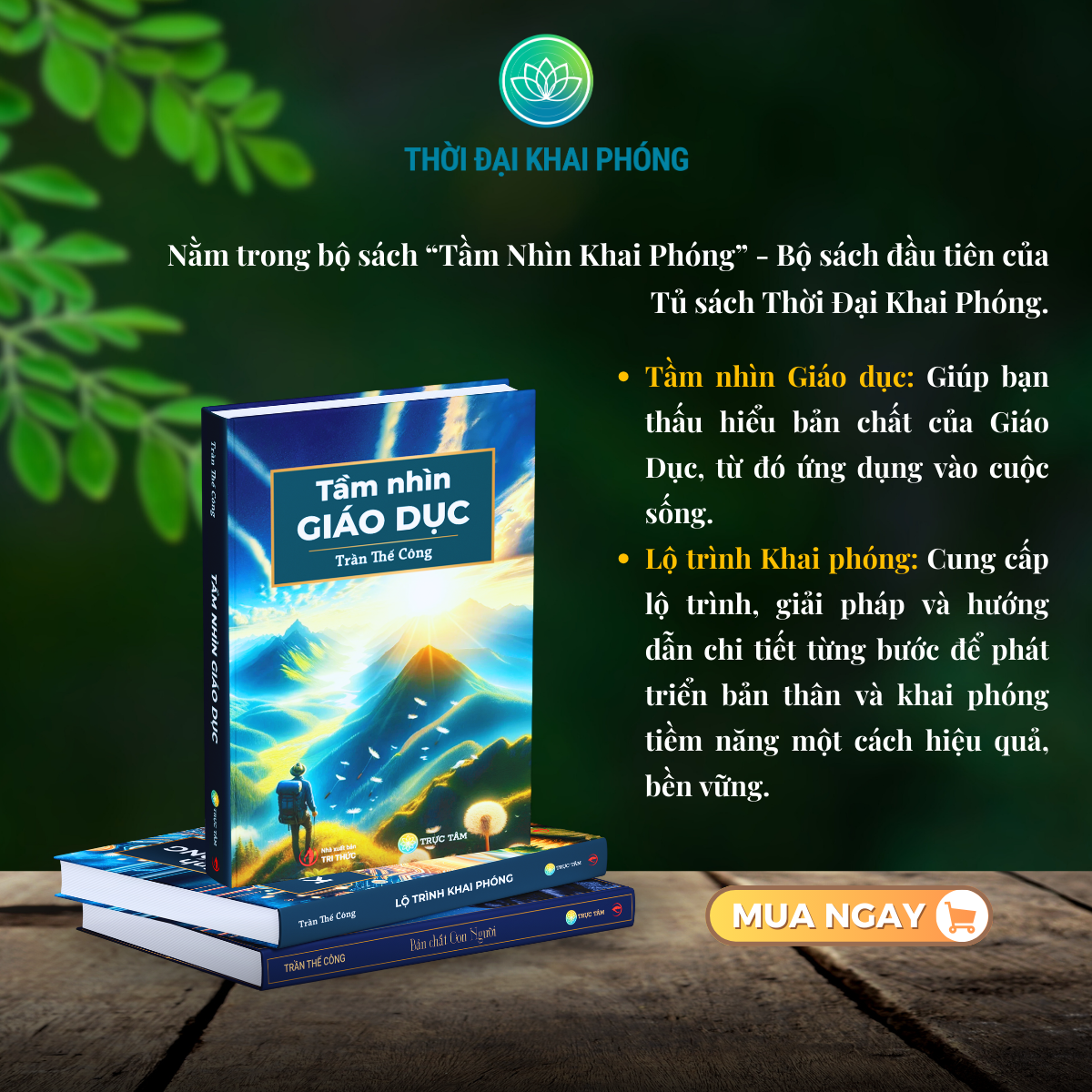 (Combo 2 cuốn sách) TẦM NHÌN GIÁO DỤC + LỘ TRÌNH KHAI PHÓNG (thuộc bộ sách TẦM NHÌN KHAI PHÓNG - 3 cuốn, bìa cứng - Tác giả: Trần Thế Công)