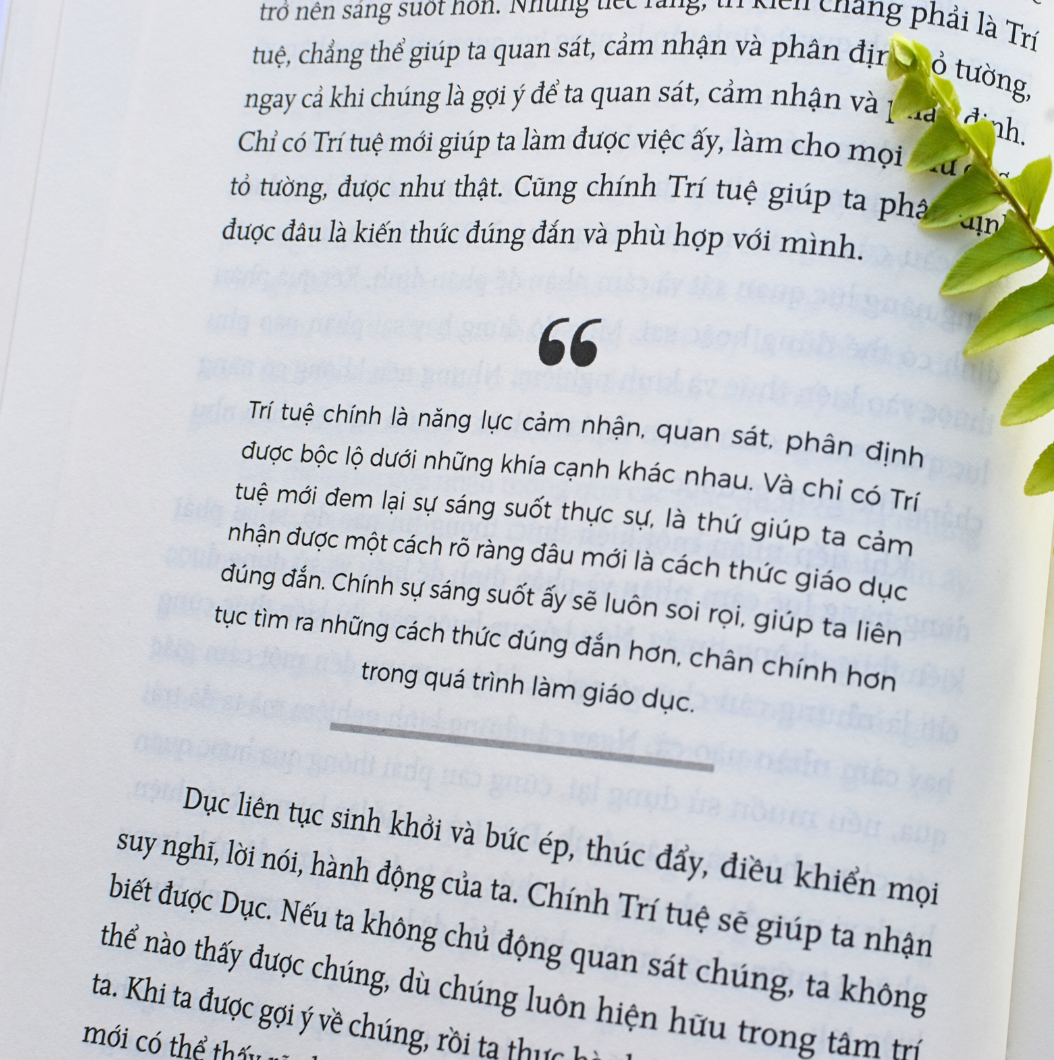 (Combo 2 cuốn sách) TẦM NHÌN GIÁO DỤC + LỘ TRÌNH KHAI PHÓNG (thuộc bộ sách TẦM NHÌN KHAI PHÓNG - 3 cuốn, bìa cứng - Tác giả: Trần Thế Công)