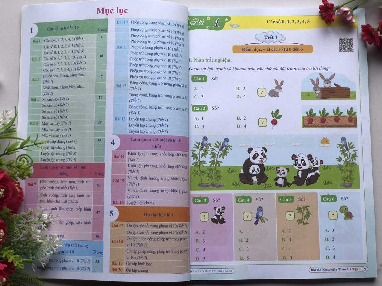 Sách - Combo Bài Tập Hằng Ngày - Toán và Tiếng Việt Lớp 1 - Kết Nối Tri Thức Với Cuộc Sống - Tập 1, 2 (2 cuốn) ,