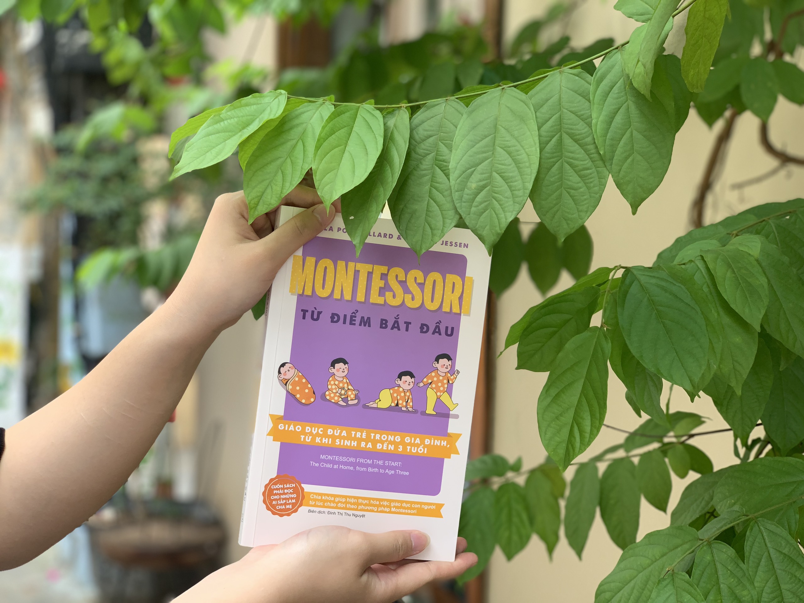 Montessori từ điểm bắt đầu: Giáo dục đứa trẻ trong gia đình, từ khi sinh ra đến 3 tuổi