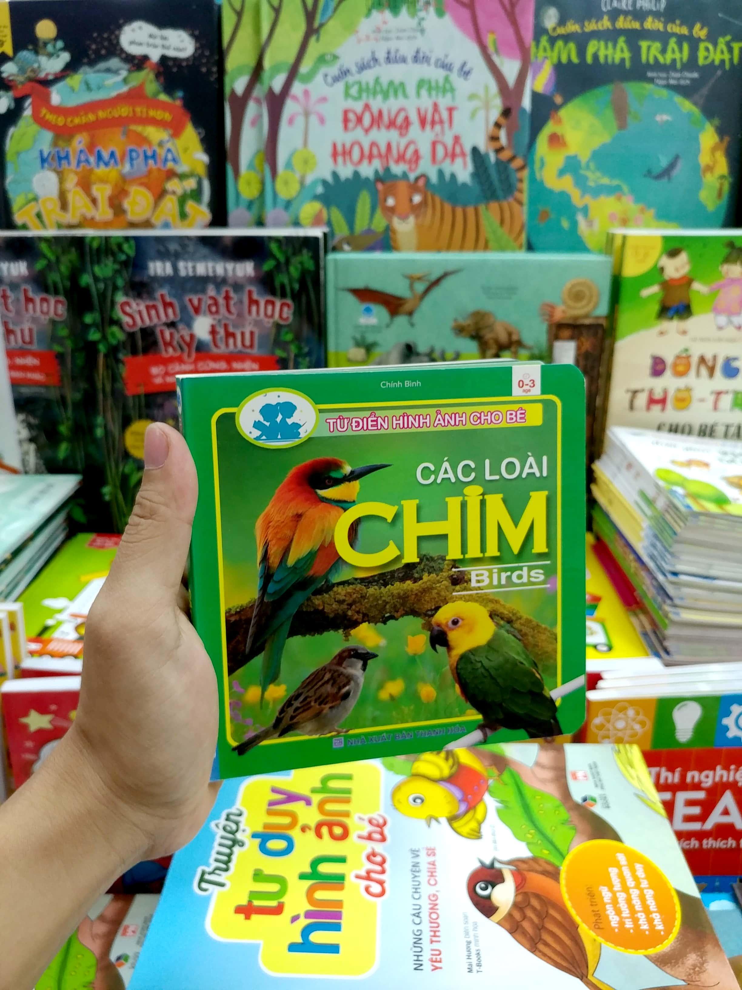 Từ Điển Hình Ảnh Cho Bé - Các Loài Chim
