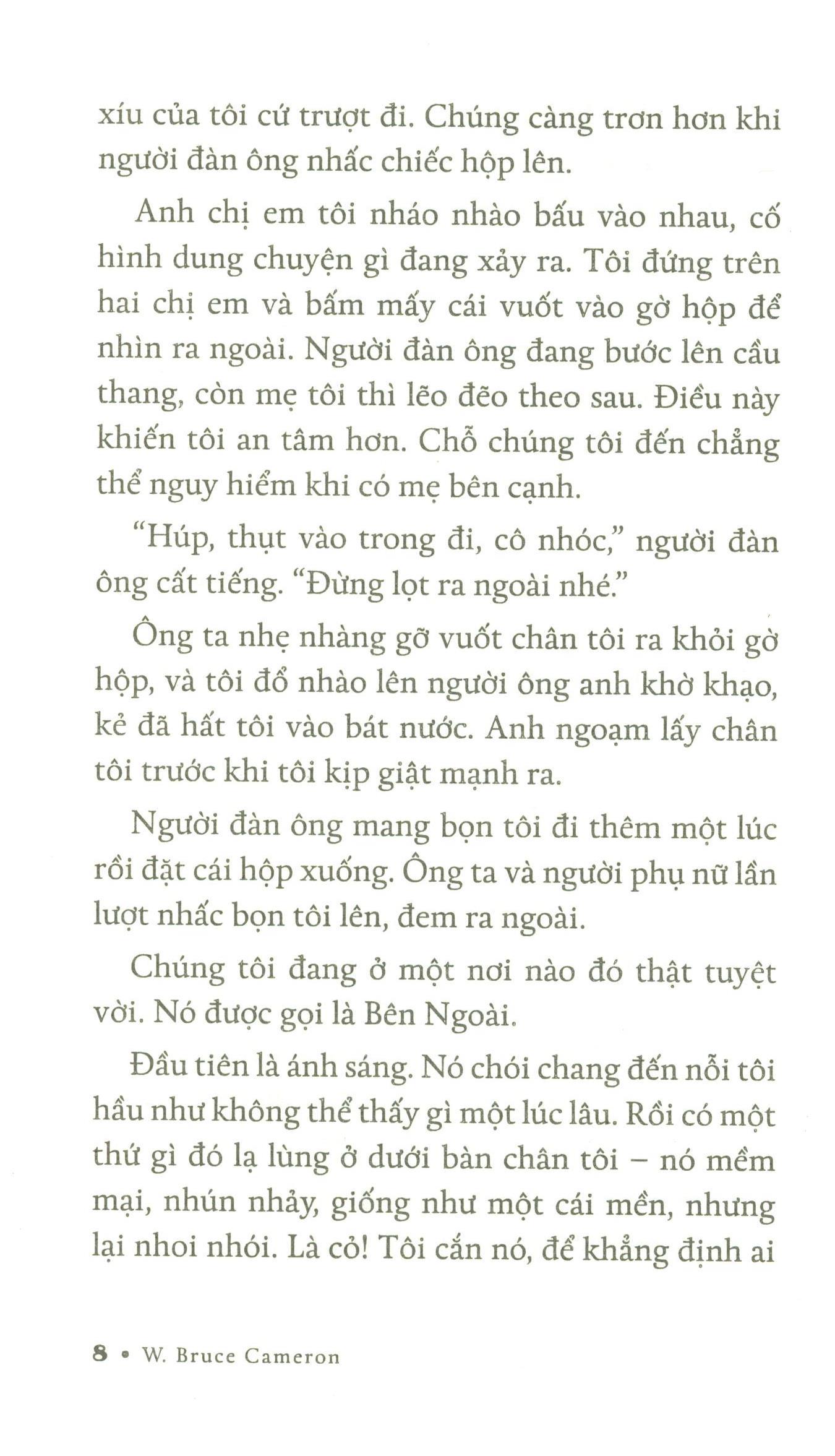 Chuyện Về Ellie - Chú Chó Trong Tiểu Thuyết Mục Đích Sống Của Một Chú Chó