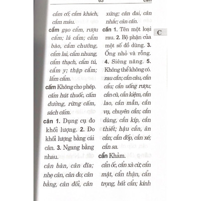 Từ Điển Chính Tả Tiếng Việt (VL)