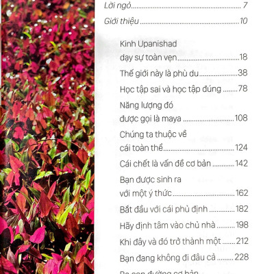 Osho - Upanishad - Cốt Tủy Của Giáo Huấn (Tái Bản 2022)