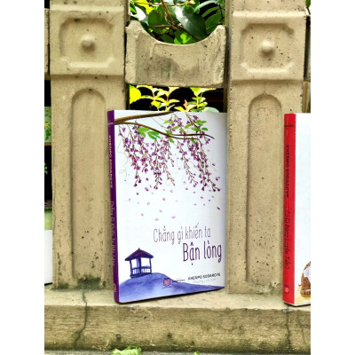 Bộ Sách BẬN - Bạn Đang Bận Việc Gì và Chẳng Gì Khiến Ta Bận Lòng - Khenpo Sodargye 