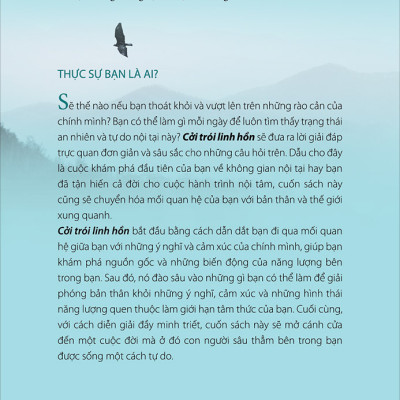 Combo 2 Cuốn : Cởi Trói Linh Hồn, Đi Tìm Lẽ Sống (Tái Bản)