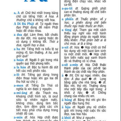 Sách - Từ Điển Tiếng Việt (trống đồng vàng b129) - ndbooks