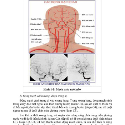 Sách - PHỤC HỒI CHỨC NĂNG CHẤN THƯƠNG NÃO