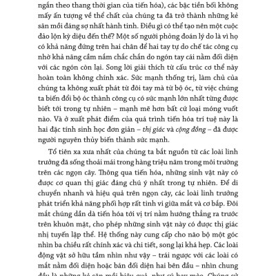 Làm Chủ - Mastery