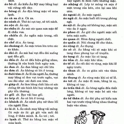 Ngôn Ngữ Việt Nam - Từ Điển Tiếng Việt