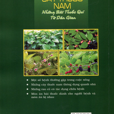 Cây Thuốc Nam - Những Bài Thuốc Quí Từ Dân Gian
