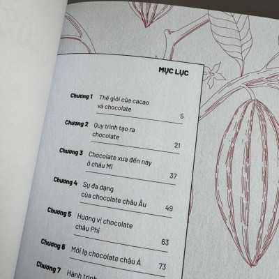 Sách - [In hai màu, tranh minh họa] ẨM THỰC CHINH PHỤC THẾ GIỚI - CHOCOLATE - Ngọc Hân, Bảo Anh - NXB Kim Đồng