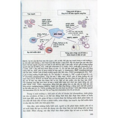 Sách - Giải phẫu bệnh học 2022