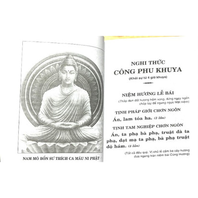 Sách - Kinh Nhật Tụng bìa mềm loại nhỏ - Thích Minh Thời - Anan Books