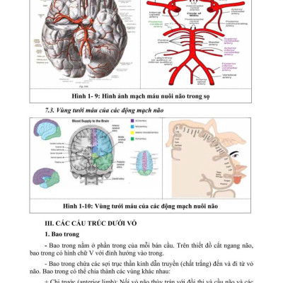 Sách - PHỤC HỒI CHỨC NĂNG CHẤN THƯƠNG NÃO