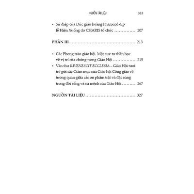 Sách - Canh Tân Đặc Sủng - Dòng Chảy Ân Sủng Cho Giáo Hội - Bayard Việt Nam