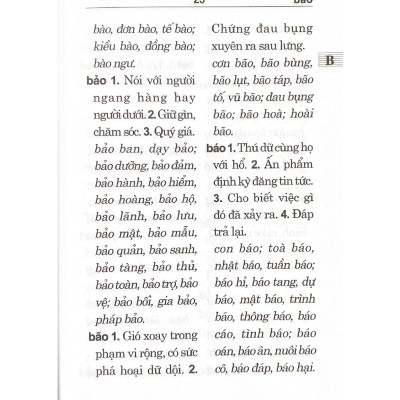 Từ Điển Chính Tả Tiếng Việt (VL)