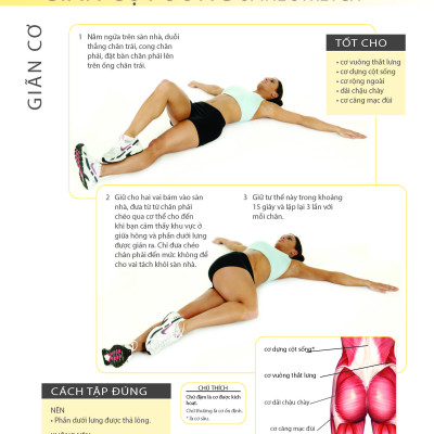 Khỏe Đẹp Với Các Bài Tập Cơ Bản