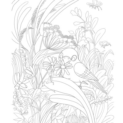 Trăm Hoa Đua Nở (Tô Màu Dành Cho Người Lớn)