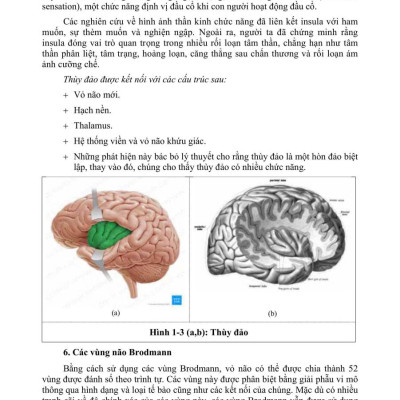Sách - PHỤC HỒI CHỨC NĂNG CHẤN THƯƠNG NÃO