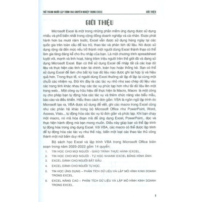 Trở Thành Người Lập Trình VBA Chuyên Nghiệp Trong Excel  (stk)