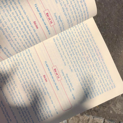 Tuyển Chọn Những Bài Văn Miêu Tả Lớp 4 - Bản Quyền