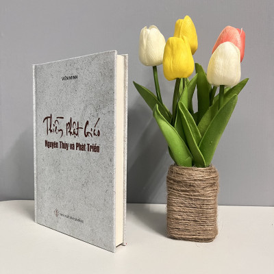 Sách - Thiền Phật Giáo Nguyên Thủy Và Phát Triển (HT Viên Minh)