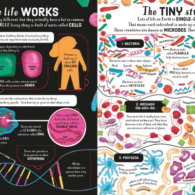 Sách tương tác tiếng Anh: Lift-The-Flap Biology