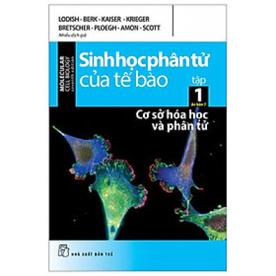 Sinh Học Phân Tử Của Tế Bào - Tập 1 - Cơ Sở Hoá Học Và Phân Tử (Tái Bản 2024)
