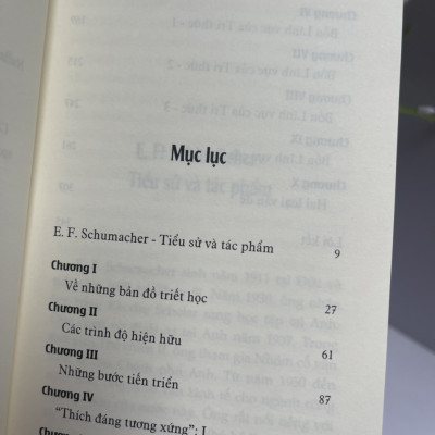 (Tái bản 2023) MỘT CHỈ DẪN CHO NGƯỜI BỊ BỐI RỐI - E. F. Schumacher - Dịch giả: Nguyễn Văn Trọng - Nxb Tri thức - bìa mềm