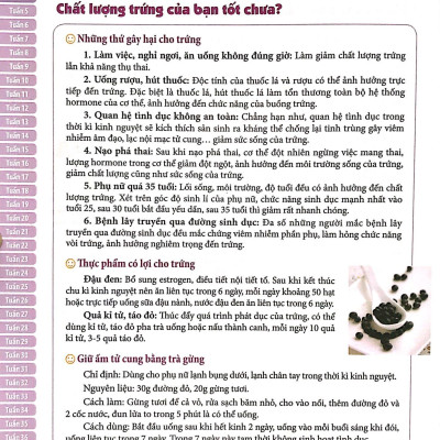 Mang Thai Thành Công - 280 Ngày Mỗi Ngày Đọc 1 Trang